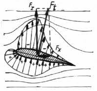 Antrenamentul la sala de forta facut de componentii pachetului de inaintare al nationalei de rugby a romaniei inaintea meciului cu rusia, din rugby europe. Repartitia Presiunilor Pe Profil
