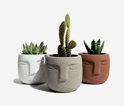 Check spelling or type a new query. 37 Best Pots And Planters On Amazon 2021 The Strategist