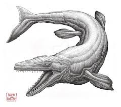 Mosasaurus Dinosaur Drawing Animal Drawings Drawings