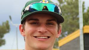 Here is a look at the RGJ All-North baseball team: