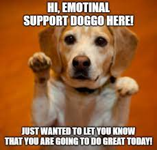 We did not find results for: Good Luck At Online School R Wholesomememes Wholesome Memes Wholesome Memes Memes Wholesome Animal Memes