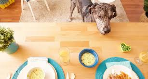 Tips For Giving Dogs Table Food