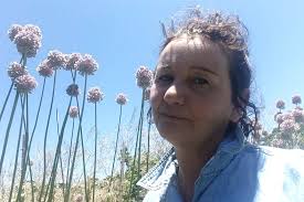 What seeds will sprout before Christmas?