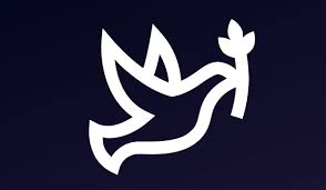 (서울=뉴스1) 정이나 기자 = 탈세 혐의로 스페인 구치소에 복역중이던 컴퓨터 보안업체 맥아피의 창립자 존 맥아피(75)가 23일(현지시간) 스스로 목숨을 끊었다고 변호인이 밝혔다. 6w14frp5rkfflm