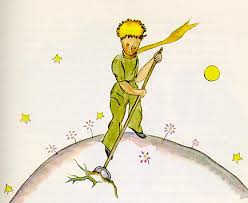 Check spelling or type a new query. The Little Prince Chapter 5