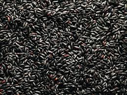 We did not find results for: Rice And Pasta Nutriboost Food Ingredient Supplier