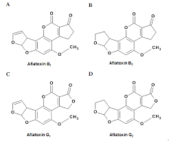Mycotoxins aflatoxins safety requirements for handling mycotoxins preparation of sample (a) lot determination of aflatoxins b1, b2, and g1 in corn, cottonseed, peanuts, and peanut butter by. Chemical Structures Of Aflatoxins A Aflatoxin B1 B Aflatoxin B2 Download Scientific Diagram
