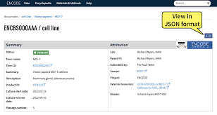 The Encode Rest Api Encode