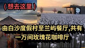 想去这里 069 由白沙度假村至兰屿餐厅 共有一万间玫瑰花咖啡厅 导航仪 地图 主要场所照片 名称 poster movie posters movies
