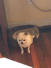 Medical Error and Grief Support