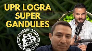 UPR LOGRA CREAR SUPER GANDULES
