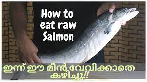 Salmon is rich in numerous b vitamins. Salmon Tartare Salmon Fish Recipe Malayalam French Food Malayalam French Recipes In Malayalam Youtube