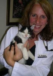 Adrienne Rodgers's Instagram, Twitter & Facebook