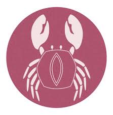 Daily love tarot card reading. Daily Horoscope April 15 Prediction For Love Health Financial And Career Knowinsiders