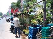 Kayoon Flower Market Surabaya