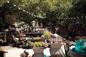 Call our local expert at 1300 66 77 48. Grow Nursery In Cambria Ca Located Behind The Garden Shed Right On Main Street Visitcambria Cambria Favorite Places Secret Places
