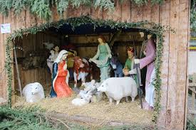 Jump to navigation jump to search. Caudebec En Caux Retour De La Creche De Noel Sur La Place D Armes