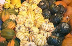 Maybe you would like to learn more about one of these? Types Of Squash Summer And Winter Squash Whats Cooking America