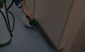 Stink bug control and prevention. Frisco Pest Control Services Bug Commander Pest Control