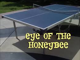 Anime eyes anime blush anime face anime hair anime mouth all seeing eye eye patch. Eye Of The Honeybee The Mighty B Wiki Fandom