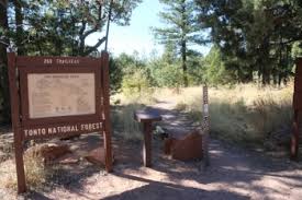 Check spelling or type a new query. A Guide To Camping At Sharp Creek Campground Arizona