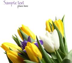 Download free pictures of beautiful flowers for & use them on your blog! Flower Images Free Stock Photos Download 10 850 Free Stock Photos For Commercial Use Format Hd High Resolution Jpg Images