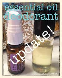 Camp Wander Pure Essential Oil Deodorant Update Use Fractionated Coconut Oil In A Roller Bottle O Essential Oil Deodorant Essential Oils Essential Oils Herbs