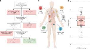 Thus, additional agents, including docetaxel chemotherapy may be administered earlier in the course of metastatic disease. The Genomic Landscape Of Metastatic Castration Resistant Prostate Cancers Reveals Multiple Distinct Genotypes With Potential Clinical Impact Nature Communications