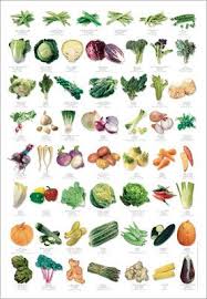 Vegetable Identification Poster Vegetables Home Vegetable