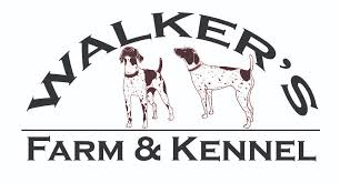 Maybe you would like to learn more about one of these? Walker S Farm And Kennel German Shorthaired Pointers And Boykin Spaniels