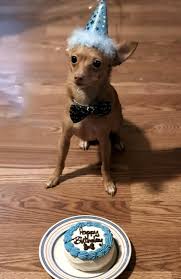 Ballantyne veterinary clinic takes a team approach to the care of your pet, recognizing that the client is the most important member of that team. Unleashed Pet Rescue Ellie And Francis Core Bank