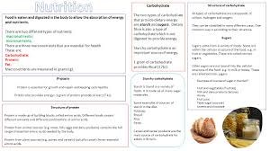 The term micronutrients is used to describe vitamins and minerals in general. Learning Objectives To Introduce Macronutrients And Micronutrients To Explain The Functions And Sources Of Carbohydrate Protein And Fat To Explain The Ppt Download