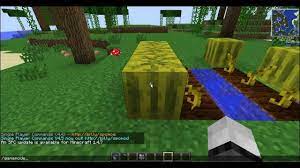 Discover how to collect seeds, prepare the soil, and farm efficiently. How To Grow Melons In Minecraft Youtube