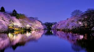 Best purple anime wallpapers and hd background images for your device! Spring Day Wallpapers And Hd Backgrounds Free Download On Picgaga