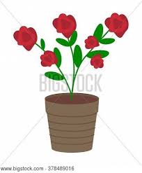 If you live in arizona and order this tree, your order will be cancelled. Vector Illustration Vector Photo Free Trial Bigstock