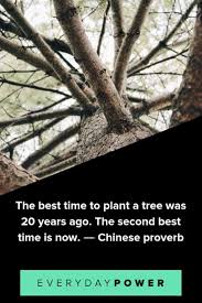 Discover and share quotes advice from a tree printable. 50 Tree Quotes To Make You Want To Plant Roots 2021