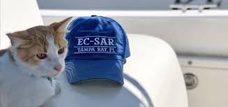 Low cost neutering (nationwide subsidised neutering schemes): Cat Advocacy Drives Professor S Economic Impact Research News Eckerd College