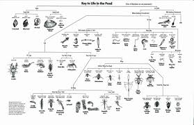 Dichotkey T1200 Jpg 1200 776 With Images Sheet Music Classroom Camping 2017