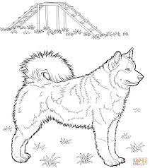 Scroll down to enjoy a huge selection of dog pictures. Pin By Melissa Struthers On Dog Patterns Dog Coloring Page Animal Coloring Pages Horse Coloring Pages