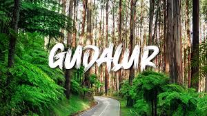 Comfortable and Budget-Friendly Stay Options in Gudalur