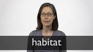 Definition of habitat in the definitions.net dictionary. Habitat Definition Und Bedeutung Collins Worterbuch