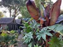 Garden open for the National Garden Scheme in Suffolk
