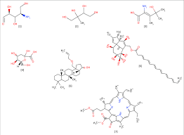 Image result for Alchornea laxiflora