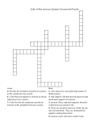 We did not find results for: Nervous System Magazine 1