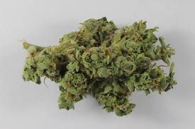 Modern Marijuana Is Often Laced With Heavy Metals And Fungus Science Smithsonian Magazine