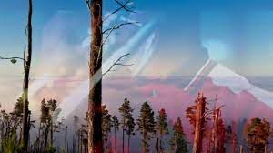 We did not find results for: Yesusku Juruslamatku Lyrics Agustina Marbun Youtube