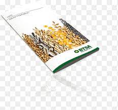 Established on 18 september 2006, halal industry development corporation coordinates the overall development of the halal industry in malaysia. Commodity Brand Halal Industry Development Corporation Brand Commodity Png Pngegg