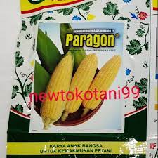 Check spelling or type a new query. Harga Jagung Manis Terbaik Taman Perlengkapan Rumah Agustus 2021 Shopee Indonesia