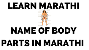 List Of Body Parts In Marathi