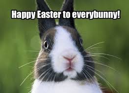 Welcome To My Care2 Funny Easter Pictures Easter Bunny Pictures Happy Easter Funny